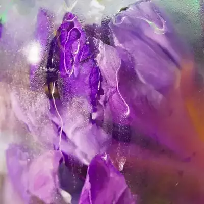 Roger&amp;Gallet Feuille De The Woda zapachowa 30 ml